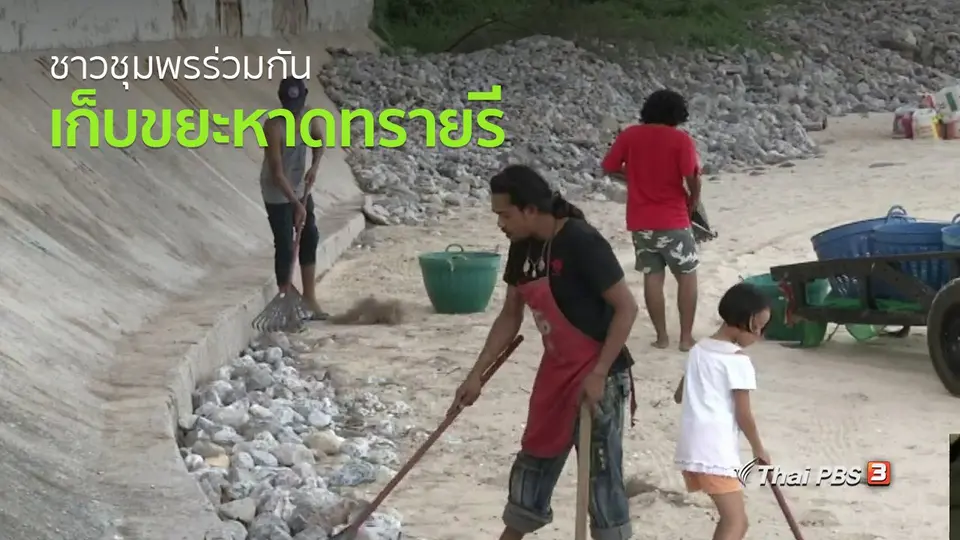 ชุมชนทั่วไทย : ชาวชุมพรร่วมกันเก็บขยะหาดทรายรีทุกวันศุกร์