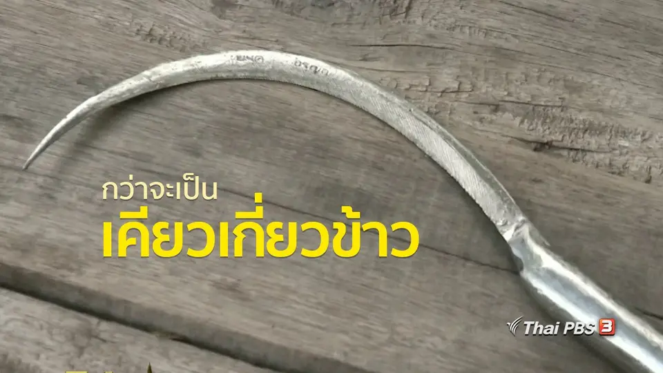 อาชีพทั่วไทย : กว่าจะเป็นเคียวเกี่ยวข้าว