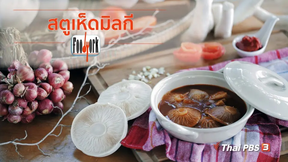 เมนูอาหารฟิวชัน : สตูเห็ดมิลกี
