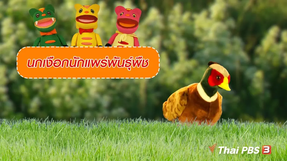 เกร็ดน่ารู้กับตาต้าตีตี้โตโต้ นกเงือกนักแพร่พันธุ์พืช