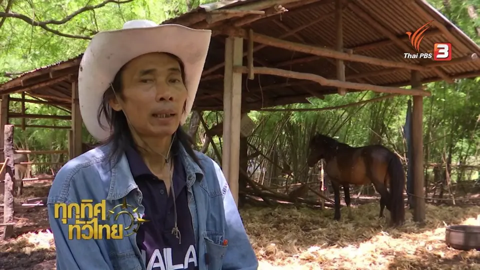 อาชีพทั่วไทย : ชมแปลงเกษตรอินทรีย์ จ.เลย