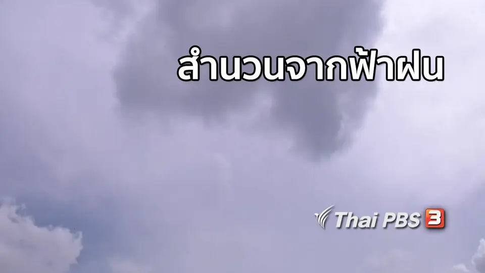 เพียงคำเดียว : สำนวนจากฟ้าฝน