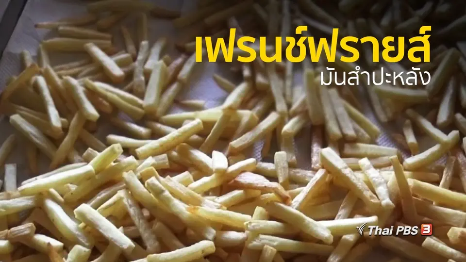 ชุมชนทั่วไทย : แปรรูปมันสําปะหลังเป็นเฟรนช์ฟรายส์
