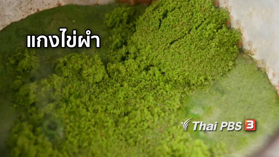 ตะลุยทั่วไทย : แกงไข่ผำ