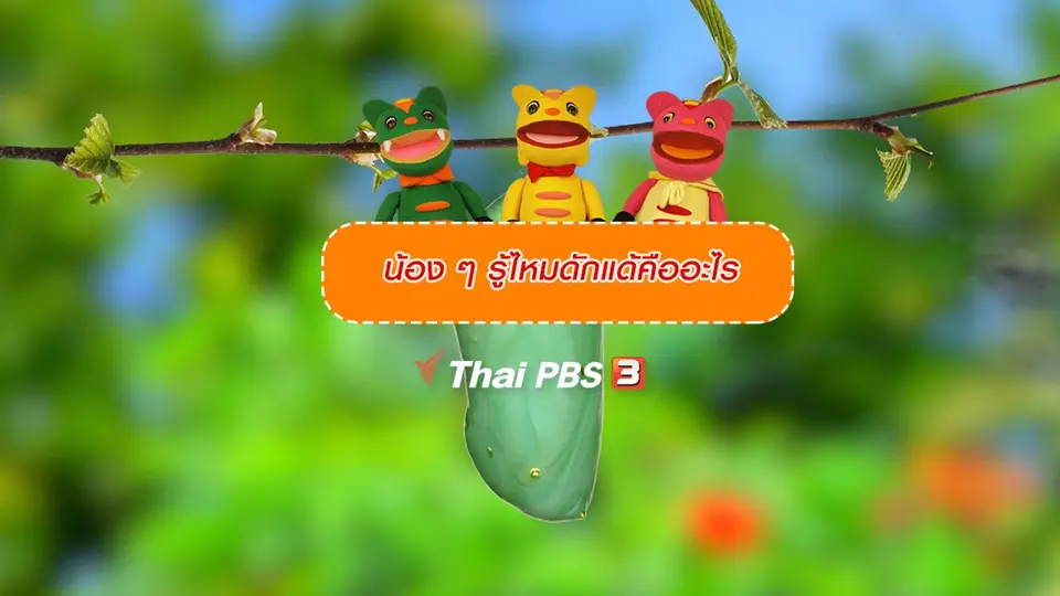 เกร็ดน่ารู้กับตาต้าตีตี้โตโต้ : น้อง ๆ รู้ไหมดักแด้คืออะไร