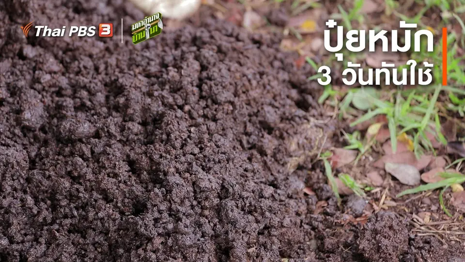 สูตรลับฉบับบ้านนา : ปุ๋ยหมัก 3 วันทันใช้