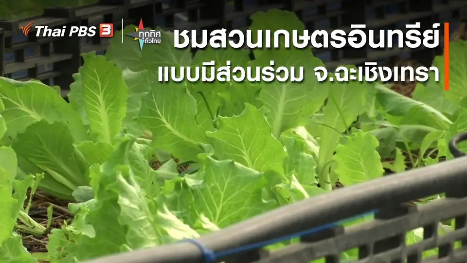 ชมสวนเกษตรอินทรีย์แบบมีส่วนร่วม จ.ฉะเชิงเทรา