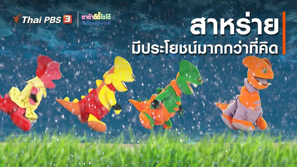 ​เกร็ดน่ารู้กับตาต้าตีตี้โตโต้ : สาหร่ายมีประโยชน์มากกว่าที่คิด