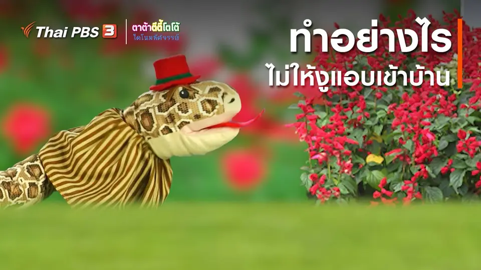​เกร็ดน่ารู้กับตาต้าตีตี้โตโต้ : ทำอย่างไรไม่ให้งูแอบเข้าบ้าน