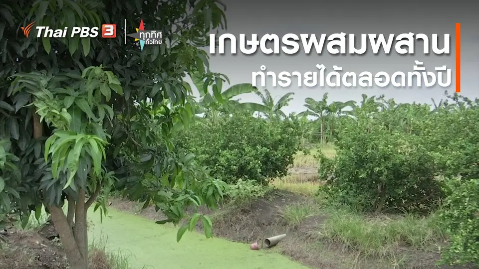เกษตรผสมผสานทำรายได้ตลอดทั้งปี