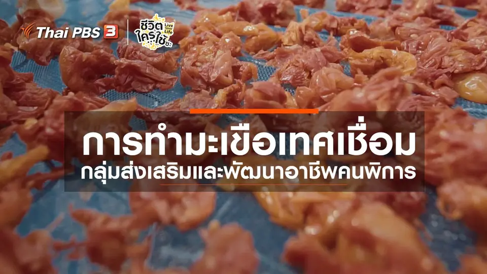 ​เรียนรู้โลกของคนพิการ : การทำมะเขือเทศเชื่อม กลุ่มส่งเสริมและพัฒนาอาชีพคนพิการ