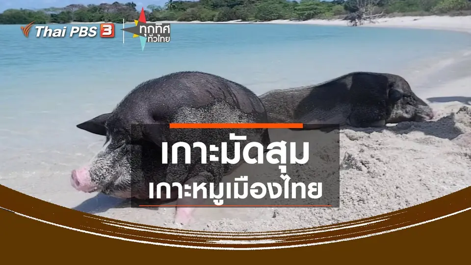 ​เปิด Unseen Thailand แห่งใหม่ เกาะมัดสุม เกาะหมูเมืองไทย