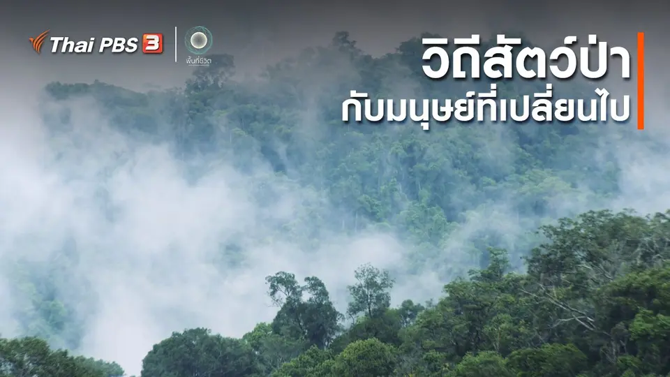 ​เปิดโลกเปิดความคิด : วิถีสัตว์ป่ากับมนุษย์ที่เปลี่ยนไป