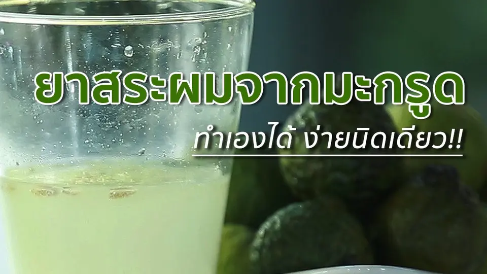 ยาสระผมจากมะกรูด