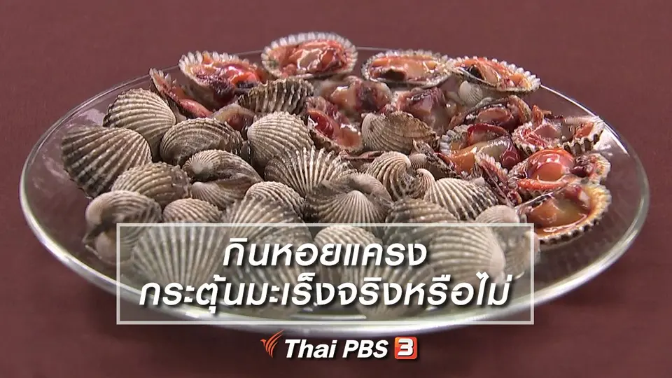 กินหอยแครงกระตุ้นมะเร็งจริงหรือไม่