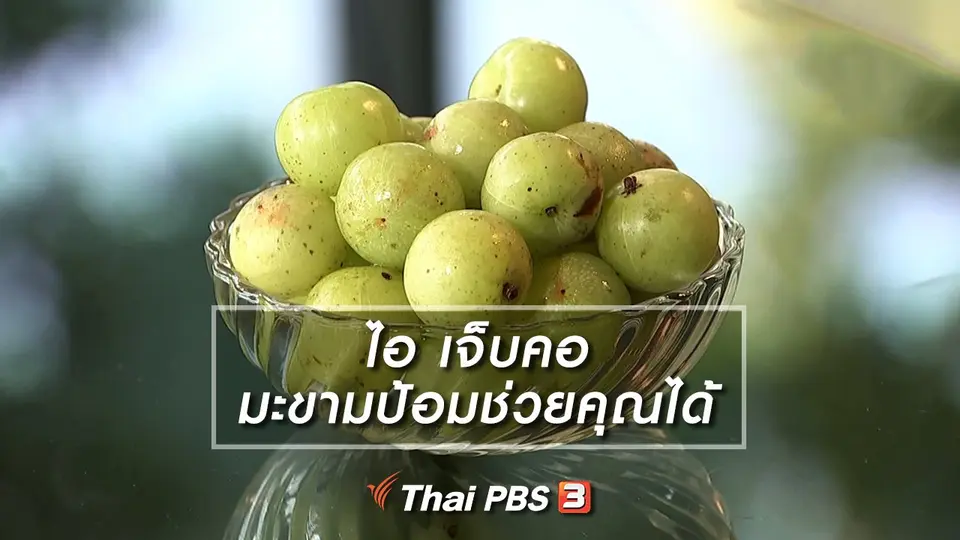 ไอ เจ็บคอ มะขามป้อม ช่วยคุณได้