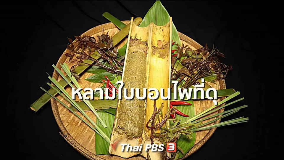 สูตรอาหารพื้นบ้าน : หลามใบบอนไพที่ดุ