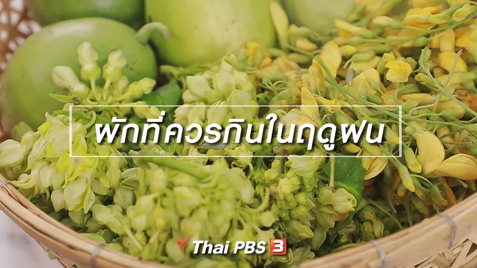 สูตรลับออนไลน์ : ผักที่ควรกินในฤดูฝน