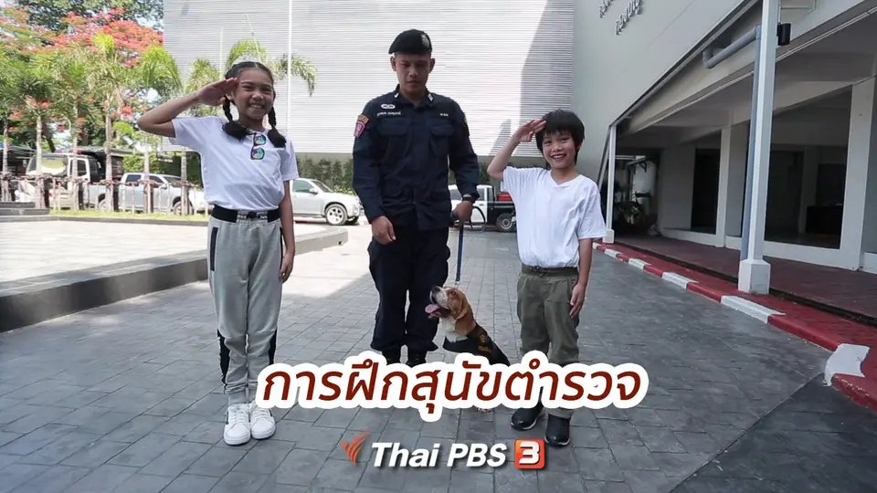 คิดส์ขยายข่าว : การฝึกสุนัขตำรวจ