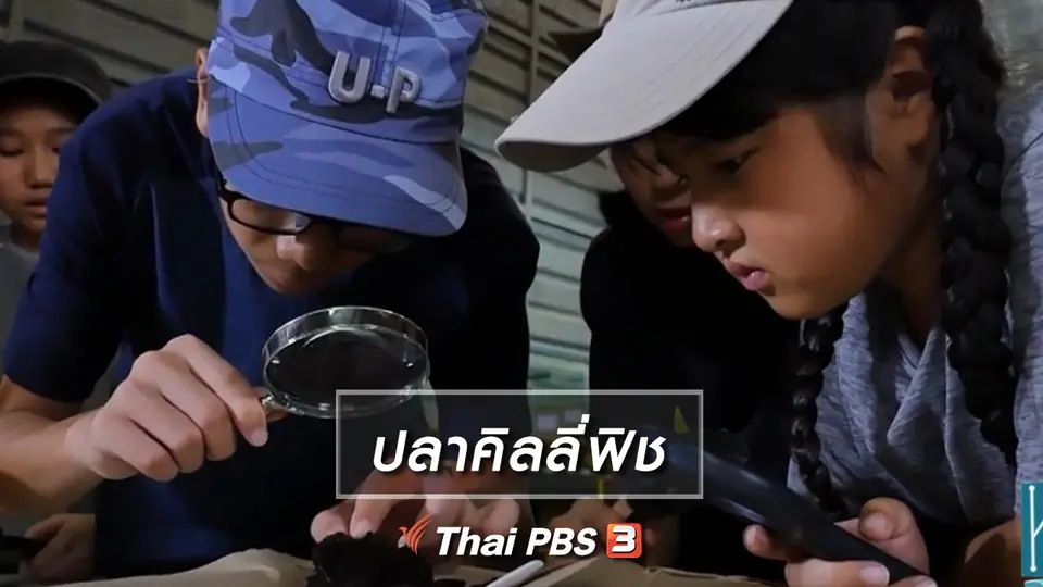 ​คิดส์เรียนรู้ : ปลาคิลลี่ฟิช
