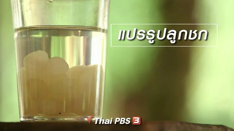 ตะลุยทั่วไทย : แปรรูปลูกชก