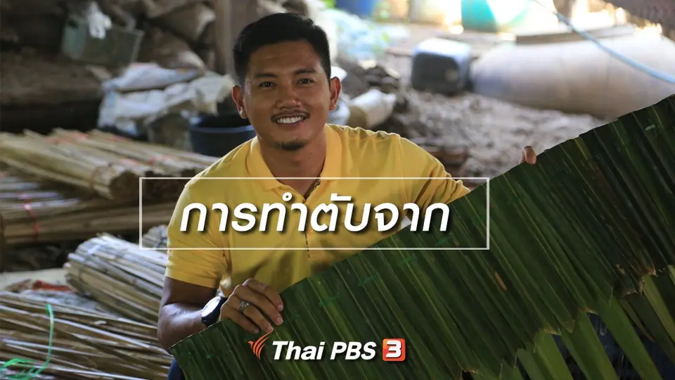 ​เรียนรู้วิถีไทย : การทำตับจาก
