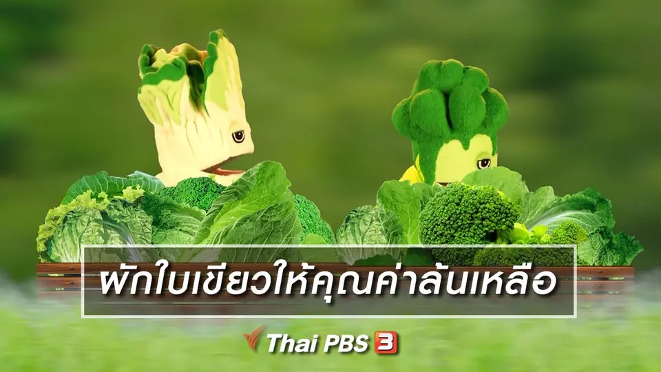เกร็ดน่ารู้กับตาต้าตีตี้โตโต้ : ผักใบเขียวให้คุณค่าล้นเหลือ