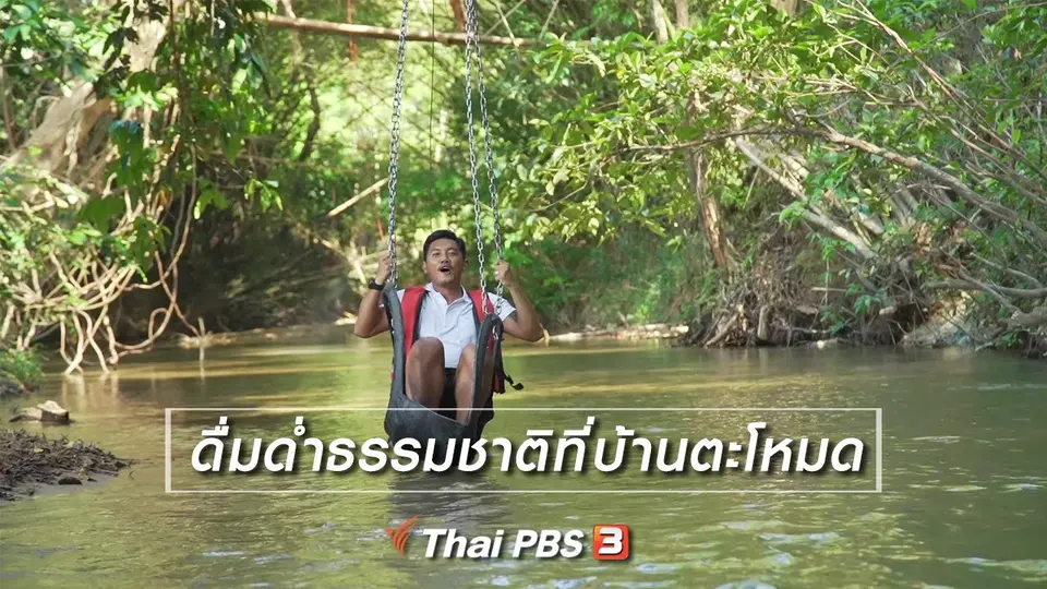 เรียนรู้วิถีไทย : ดื่มด่ำธรรมชาติที่บ้านตะโหมด