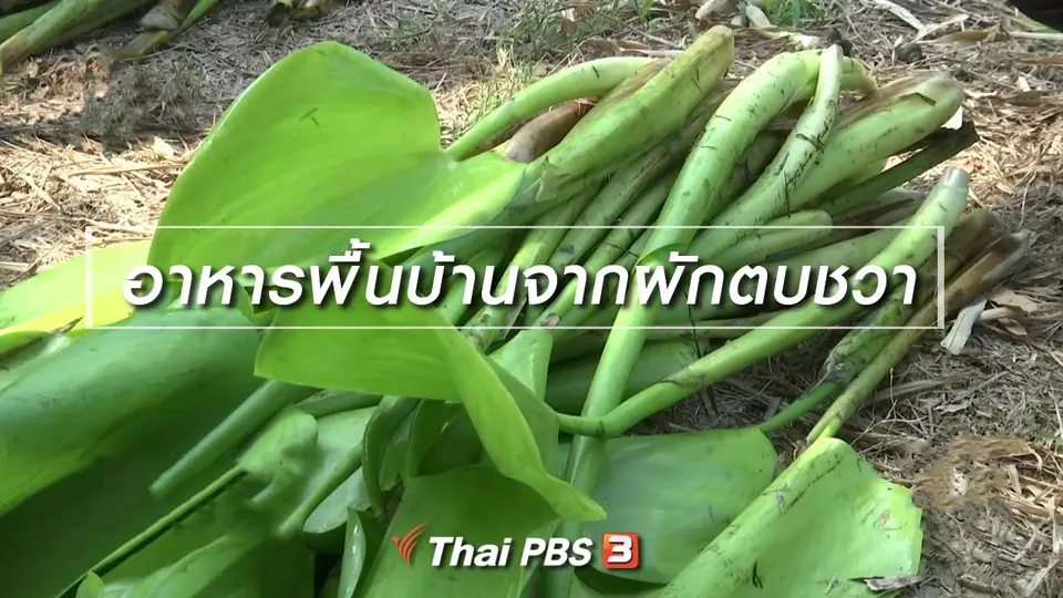 อิ่มมนต์รส : อาหารพื้นบ้านจากผักตบชวา