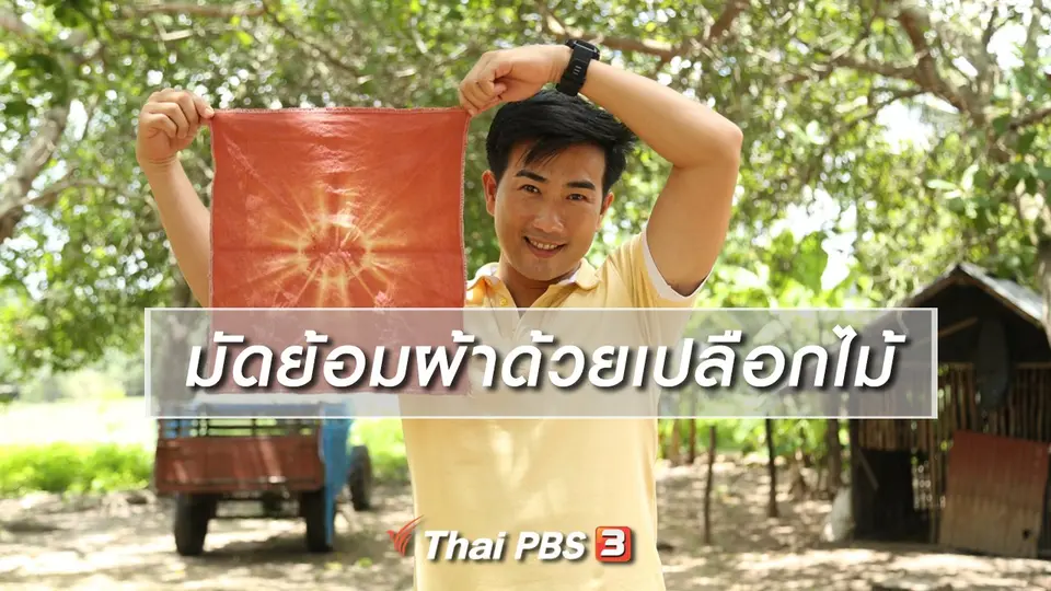 เรียนรู้วิถีไทย : มัดย้อมผ้าด้วยเปลือกไม้