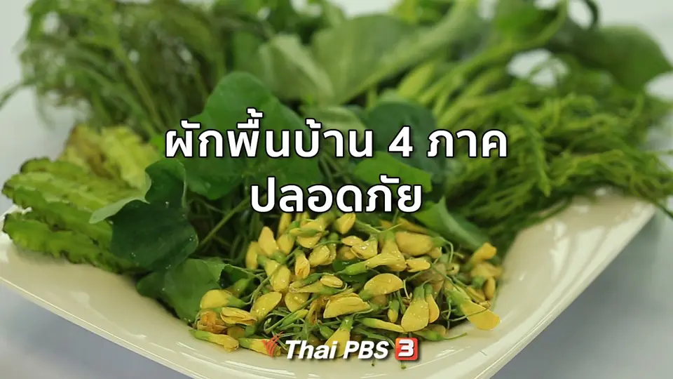 กินดี อยู่ดีกับหมอพรเทพ : ผักพื้นบ้าน 4 ภาค ปลอดภัย