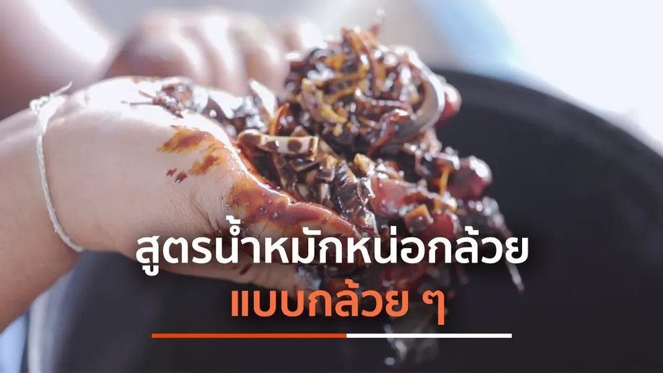 สูตรน้ำหมักหน่อกล้วยแบบกล้วย ๆ
