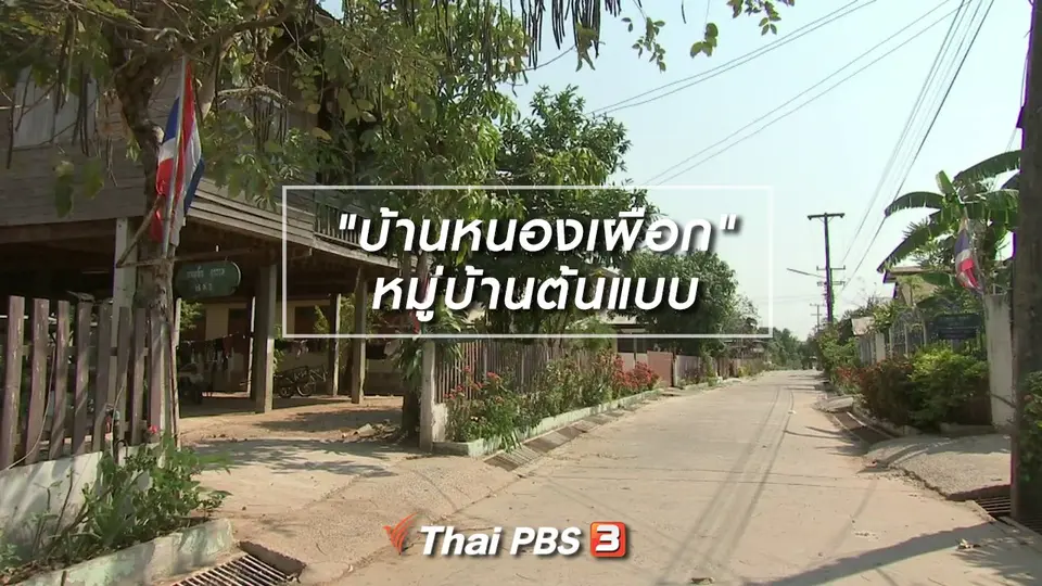 ​ตะลุยทั่วไทย : "บ้านหนองเผือก" หมู่บ้านต้นแบบ