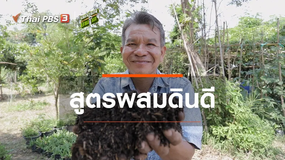 สูตรลับฉบับบ้านนา : สูตรผสมดินดี