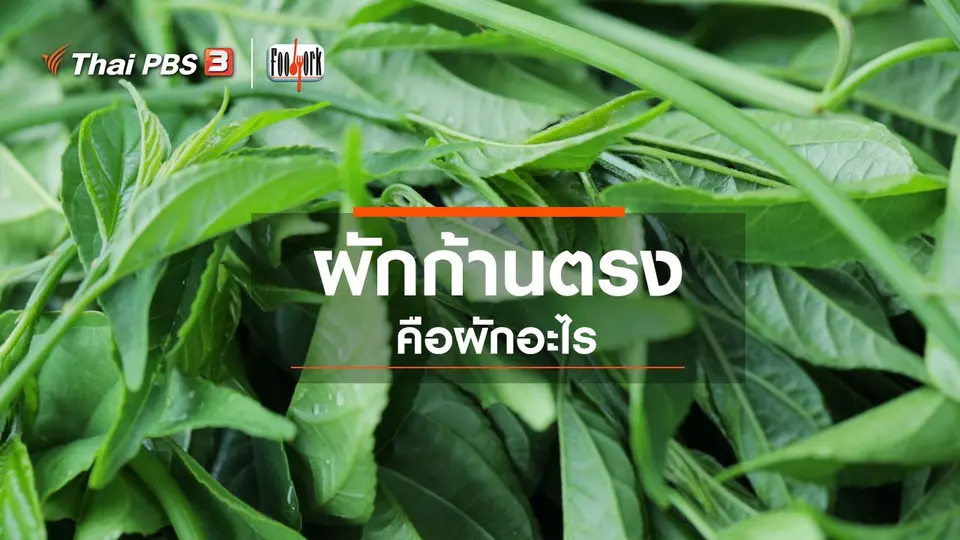 ผักก้านตรงคือผักอะไร