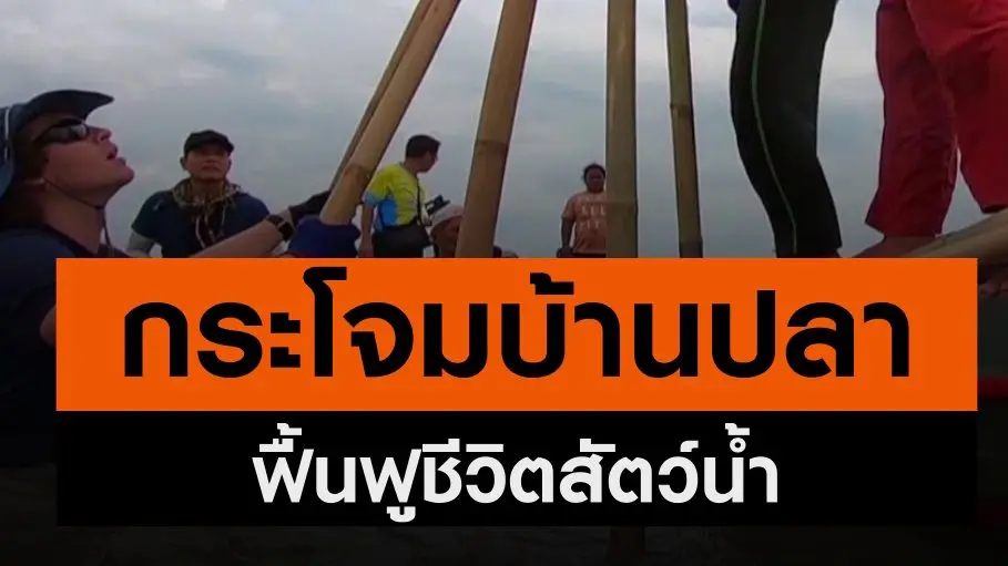 "กระโจมบ้านปลา" แหล่งอนุบาลชีวิตสัตว์น้ำ