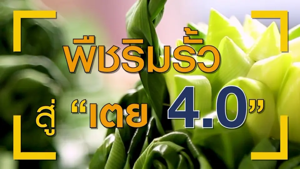 จาก “พืชริมรั้วโรงเรียน" สู่การเรียนรู้แบบ STEM