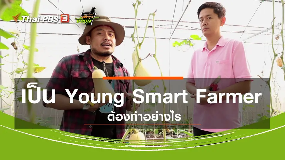 คลิปบ้านทุ่ง : เป็น Young Smart Farmer ต้องทำอย่างไร