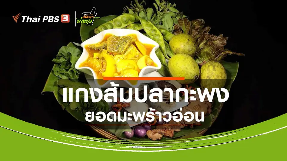 ​สูตรอาหารพื้นบ้าน : แกงส้มปลากะพงยอดมะพร้าวอ่อน