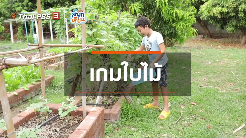 ​วิชาประสบการณ์ชีวิต : เกมใบไม้
