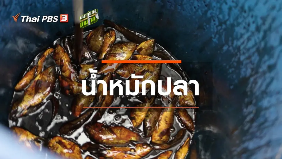 สูตรลับฉบับบ้านนา : น้ำหมักปลา