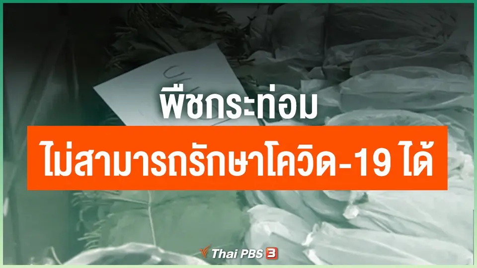 พืชกระท่อมไม่สามารถรักษาโควิด-19 ได้