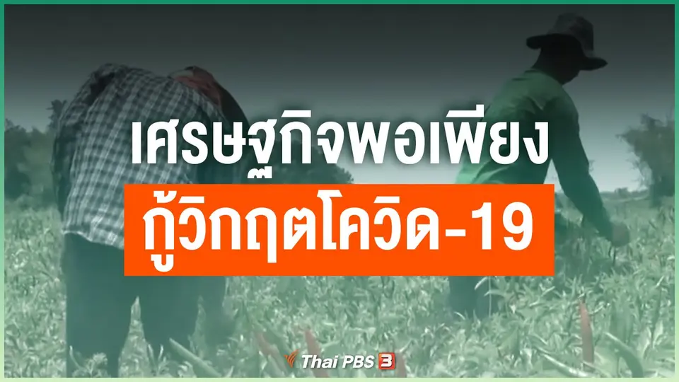 เศรษฐกิจพอเพียงกู้วิกฤตโควิด-19