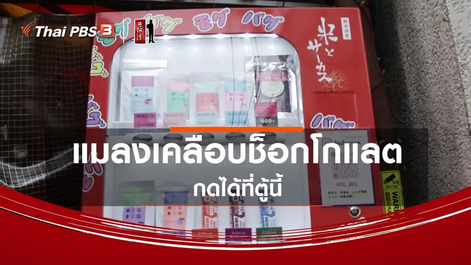 รู้ให้ลึกเรื่องญี่ปุ่น : แมลงเคลือบช็อกโกแลตกดได้ที่ตู้นี้