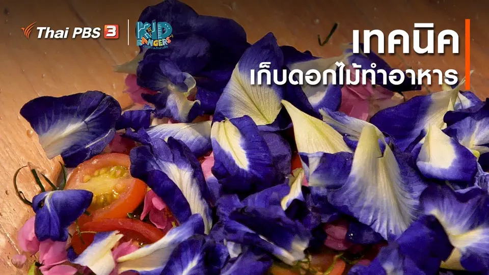 คิดส์เรียนรู้ : เทคนิคเก็บดอกไม้ทำอาหาร