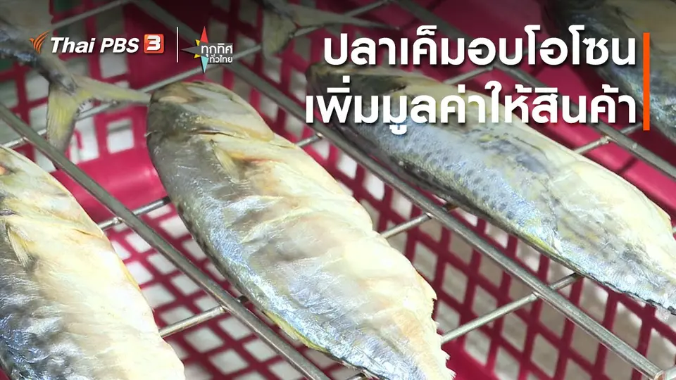 ปลาเค็มอบโอโซนเพิ่มมูลค่าให้สินค้า