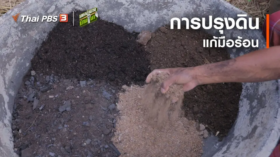 สูตรลับฉบับบ้านนา : การปรุงดินแก้มือร้อน