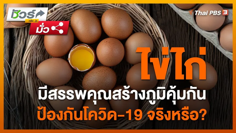 ชัวร์หรือมั่ว : ไข่ไก่มีสรรพคุณสร้างภูมิคุ้มกันป้องกันโควิด-19 ?