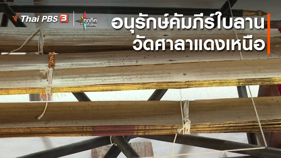 ​วิถีทั่วไทย : อนุรักษ์คัมภีร์ใบลานวัดศาลาแดงเหนือ จ.ปทุมธานี