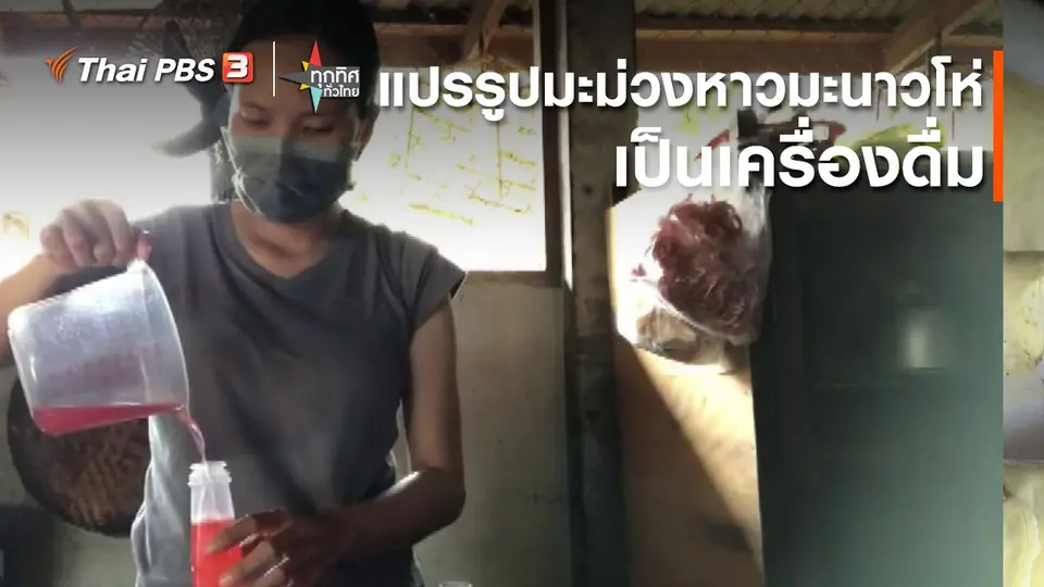 แปรรูปมะม่วงหาวมะนาวโห่เป็นเครื่องดื่ม